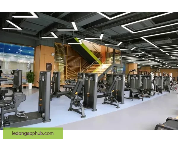 乐动体育客户端全新升级带来极致运动体验与智能互动服务